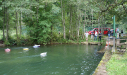 IMG_9901.jpg (208889 Byte)