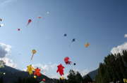 IMG_9025.JPG (82900 Byte)
